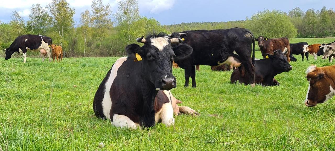 Domek Mazury, jez Orzysz Zewnętrze zdjęcie